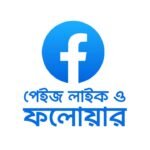 Facebook Page Likes with Followers